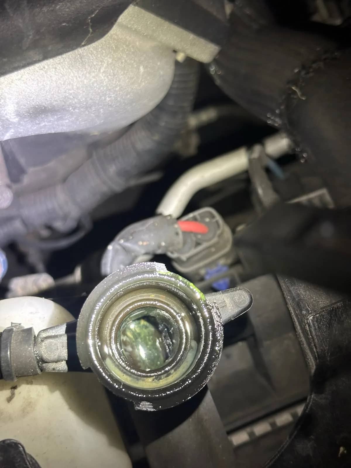Creamy, mayonnaise like milky substance noted in the radiator filler neck, indicating possible oil and coolant contamination.